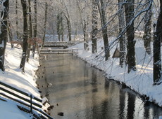 Sterben in Würde - Leben bis zuletzt: Fluss im Winter Sterben in Würde - Leben bis zuletzt: Fluss im Winter