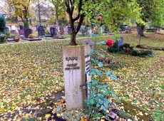 Trauern, spazieren, Kaffee trinken - Friedhöfe als heilsame Oasen: Friedhof Stuttgart-Botnang - frher von anderen Grbern umgeben, steht das Grab jetzt einsam da, gleichsam ein Monument sich ndernder Trauerkultur (Foto: Michael Ragg)