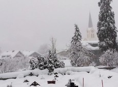 Das Zeitliche segnen Christliche Sterbekunst für unsere Zeit: Winter des Lebens - spätestens jetzt, besser schon früher, ist es heilsam, sich dem eigenen Sterben zu stellen (Foto: Michael Ragg) Das Zeitliche segnen Christliche Sterbekunst für unsere Zeit: Winter des Lebens - spätestens jetzt, besser schon früher, ist es heilsam, sich dem eigenen Sterben zu stellen (Foto: Michael Ragg)